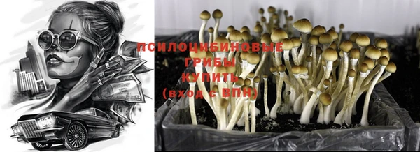 МДМА Няндома
